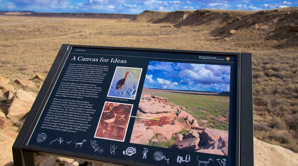 Parc national Petrified Forest qui includes scÚnes tranquilles, vues du désert et signalisation