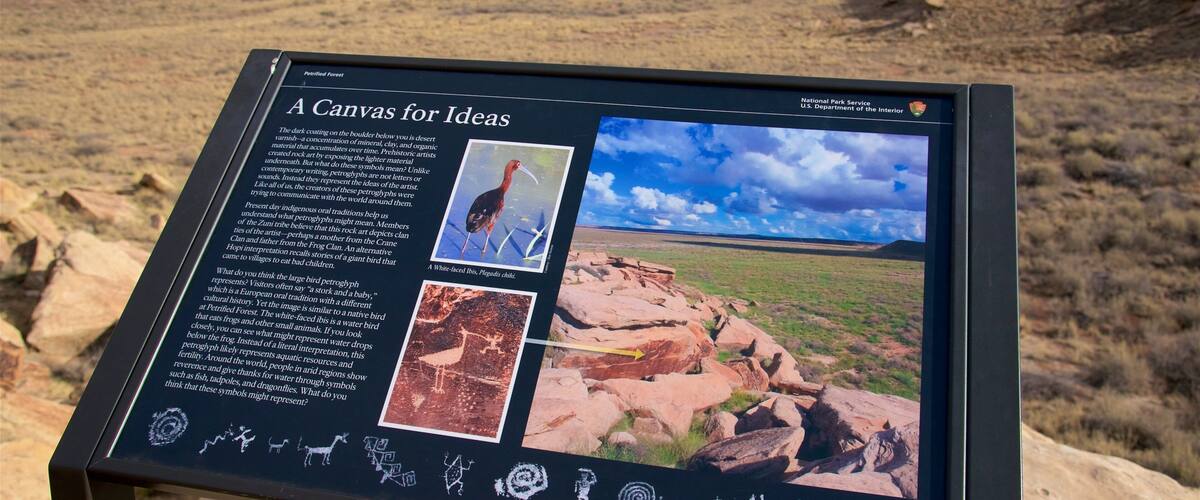Petrified Forest National Park showing signage, tranquil scenes and desert views