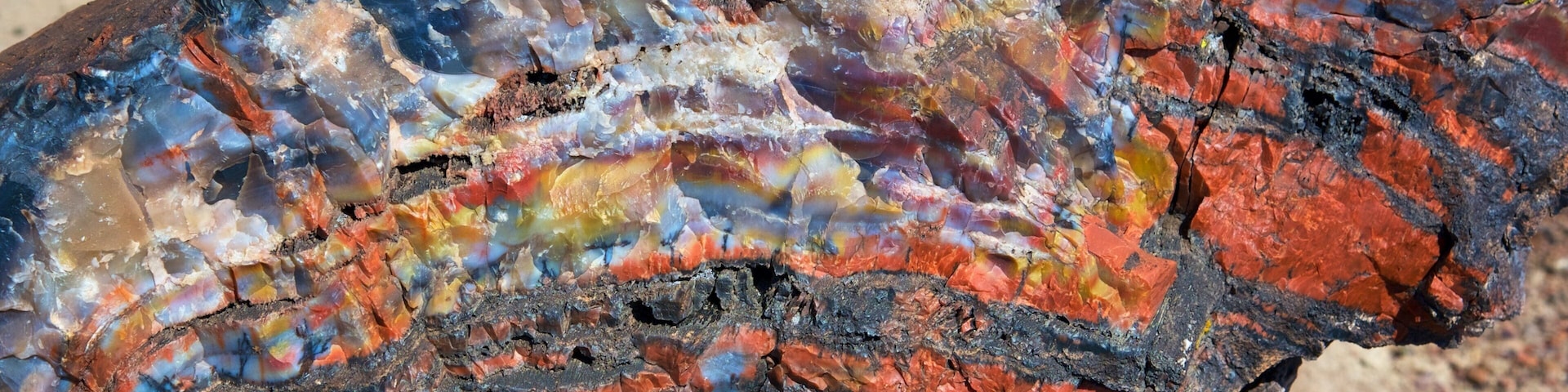 Petrified Forest National Park que inclui cenas tranquilas e paisagens do deserto