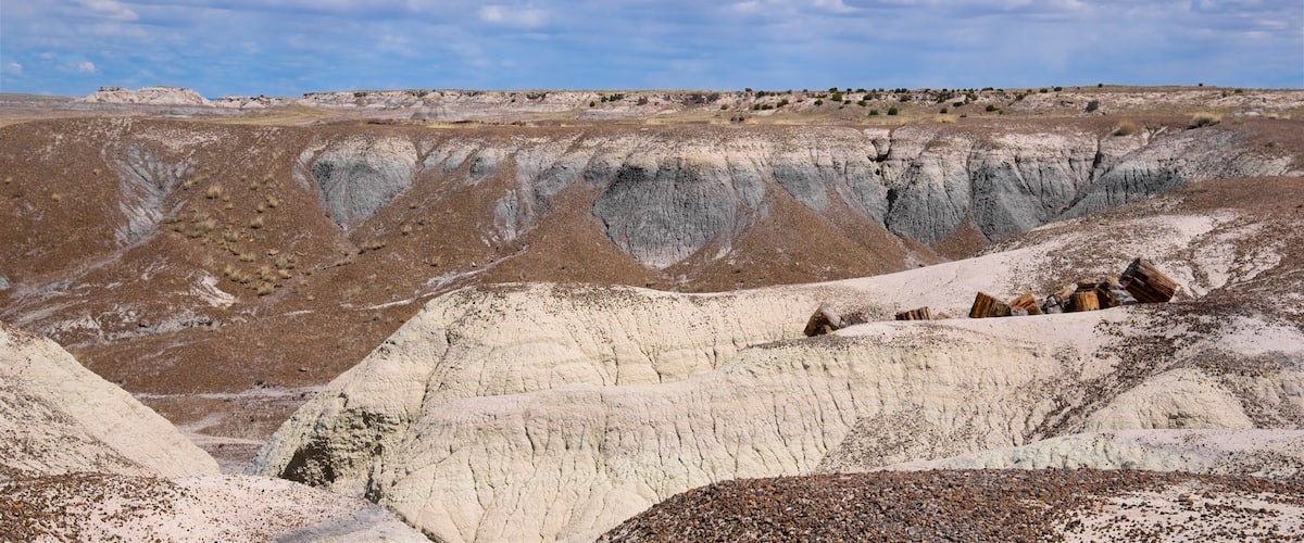 Parc national Petrified Forest mettant en vedette vues du désert et scÚnes tranquilles