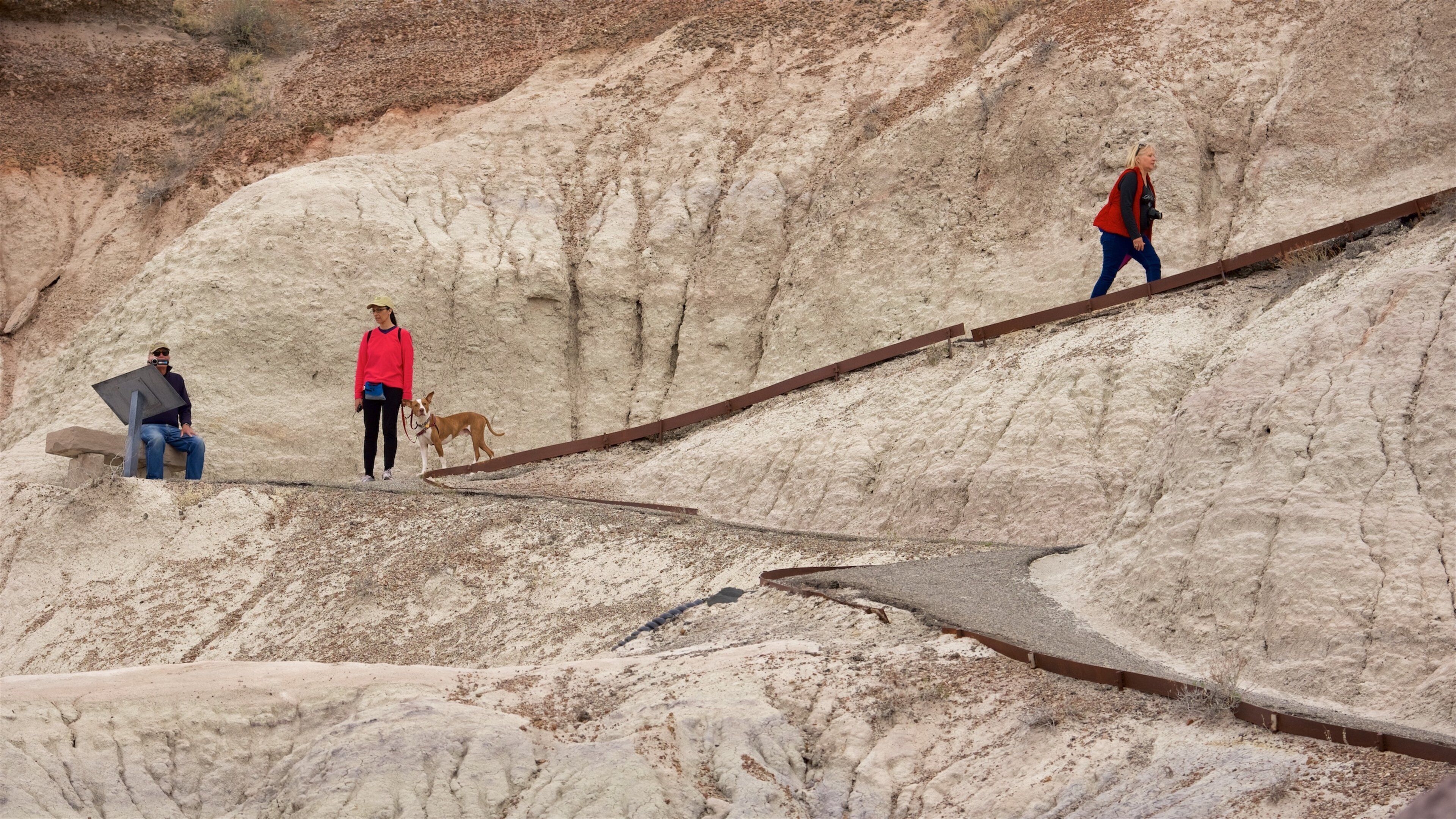 Petrified Forest National Park which includes desert views and tranquil scenes as well as a small group of people