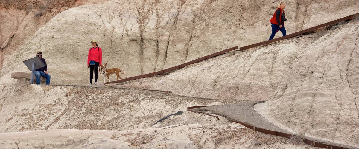 Petrified Forest National Park featuring tranquil scenes and desert views as well as a small group of people