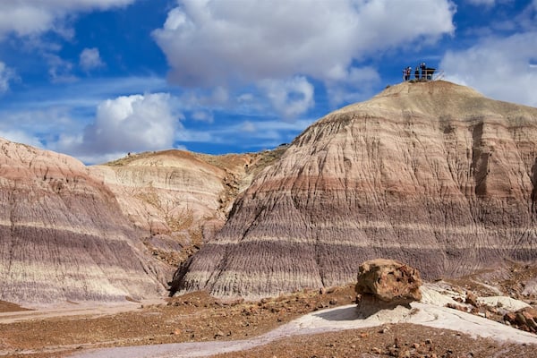 Petrified Forest National Park welches beinhaltet Wüstenblick und ruhige Szenerie