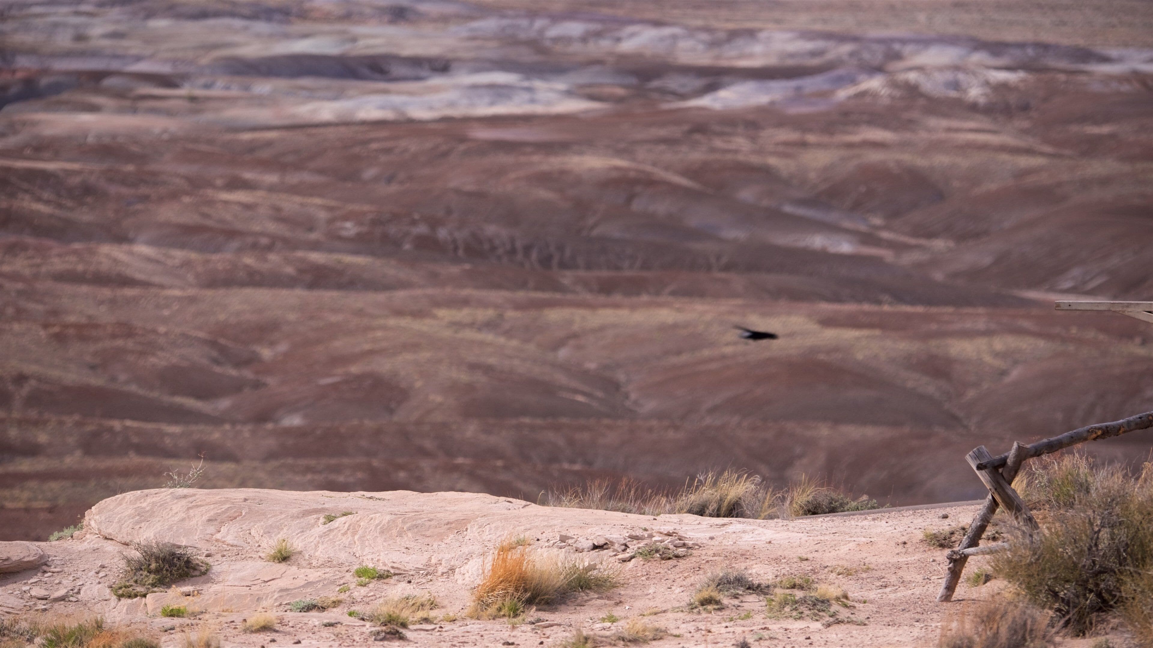 Blue Mesa featuring tranquil scenes and landscape views