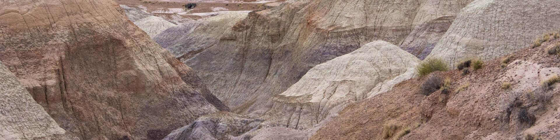 Petrified Forest National Park featuring tranquil scenes and desert views