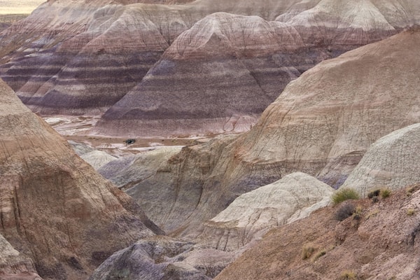 Petrified Forest National Park mit einem Wüstenblick und ruhige Szenerie