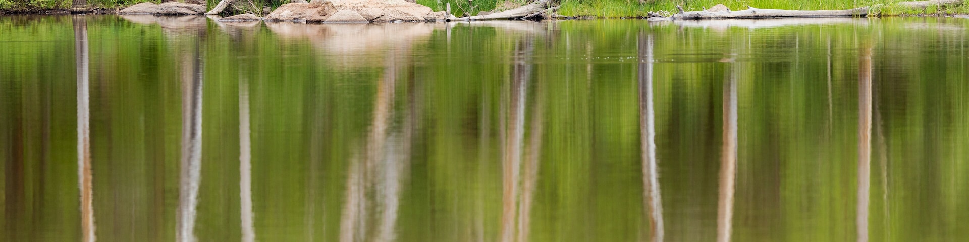 The trunks of dead trees create a ghostly reflection on the water of Buckskinner Lake in Williams, AZ.