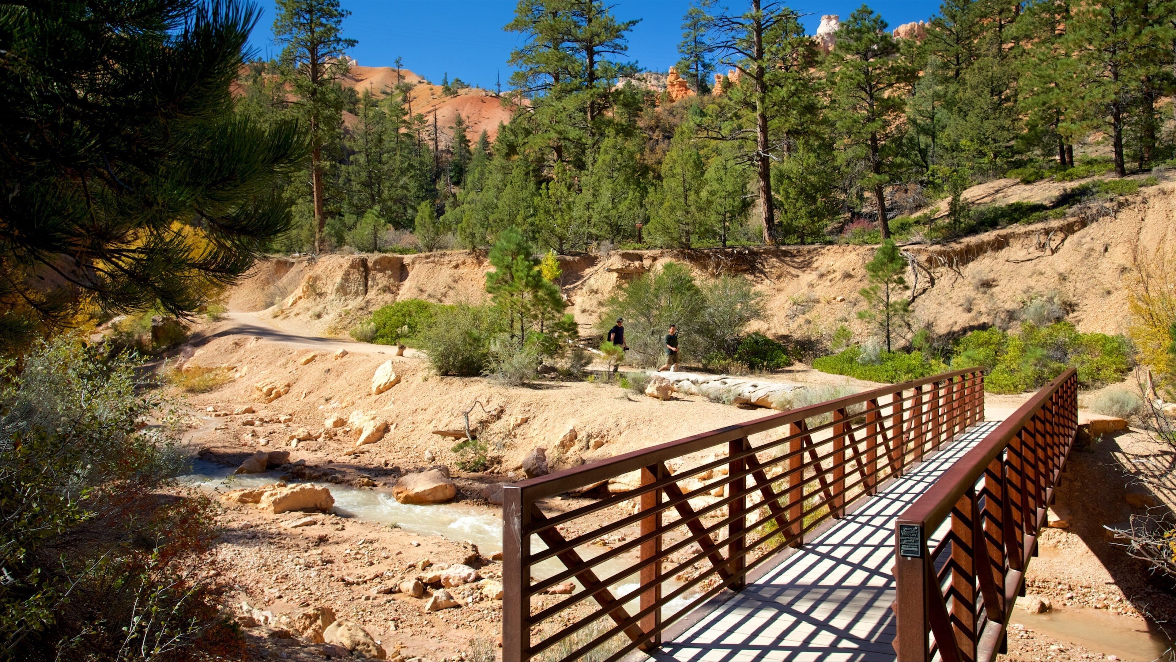 Tropic which includes tranquil scenes, a river or creek and a bridge