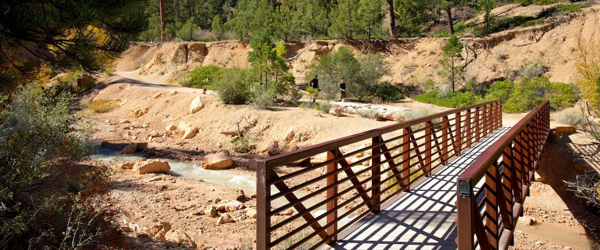 Tropic showing a bridge, tranquil scenes and landscape views