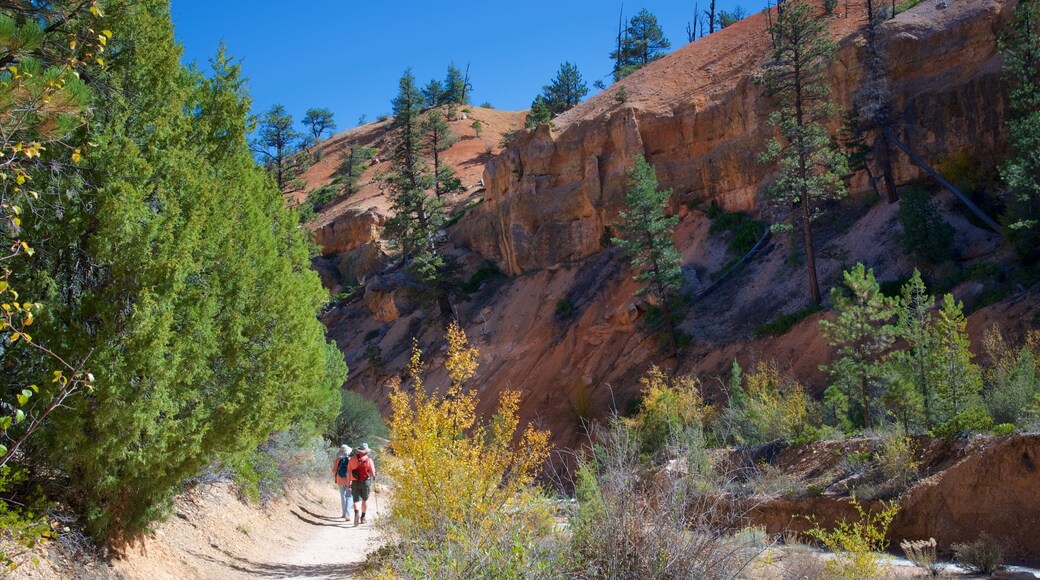 Tropic featuring hiking or walking, tranquil scenes and landscape views