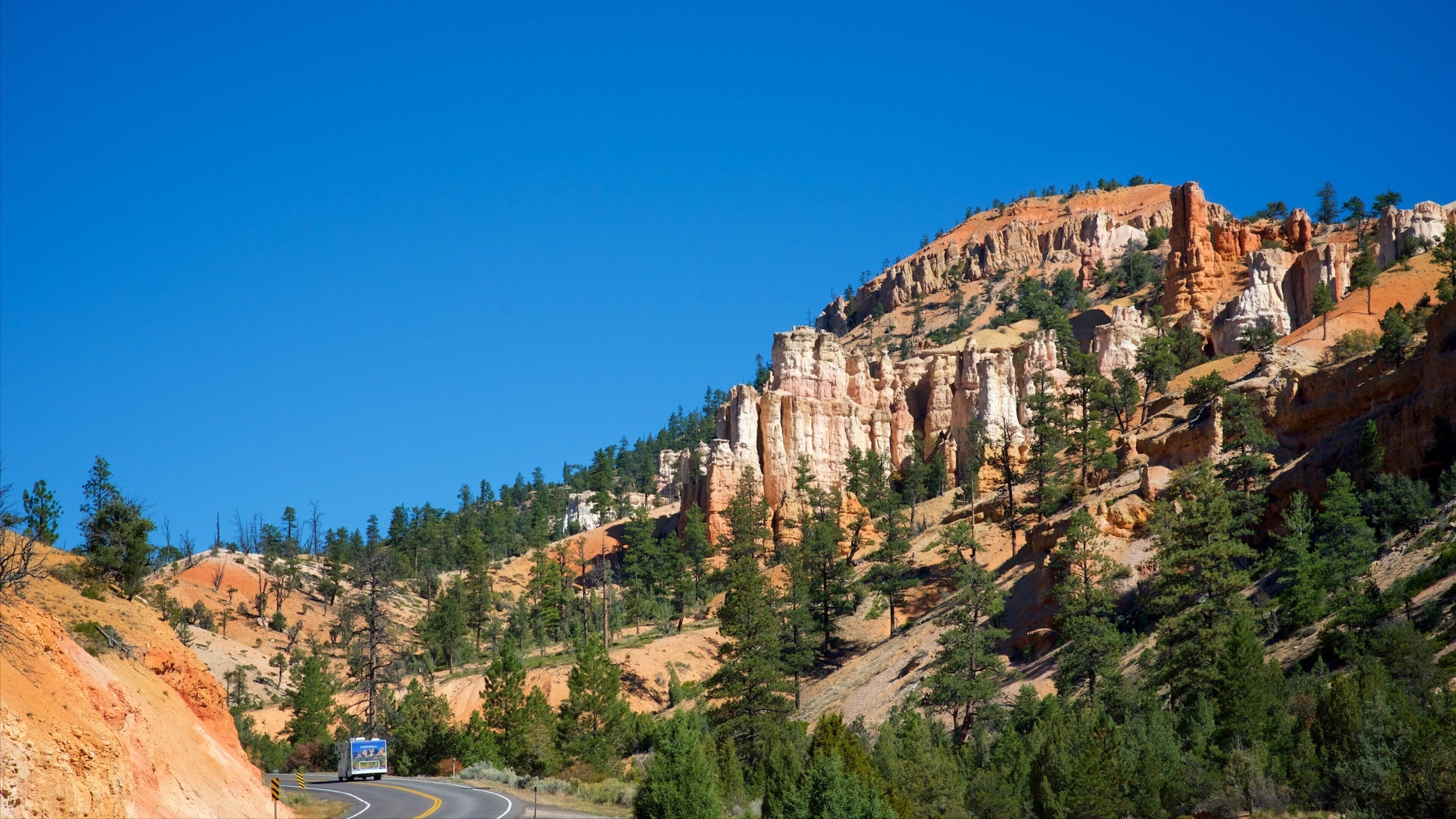 트로픽 을 보여주는 한적한 풍경, 산 과 풍경
