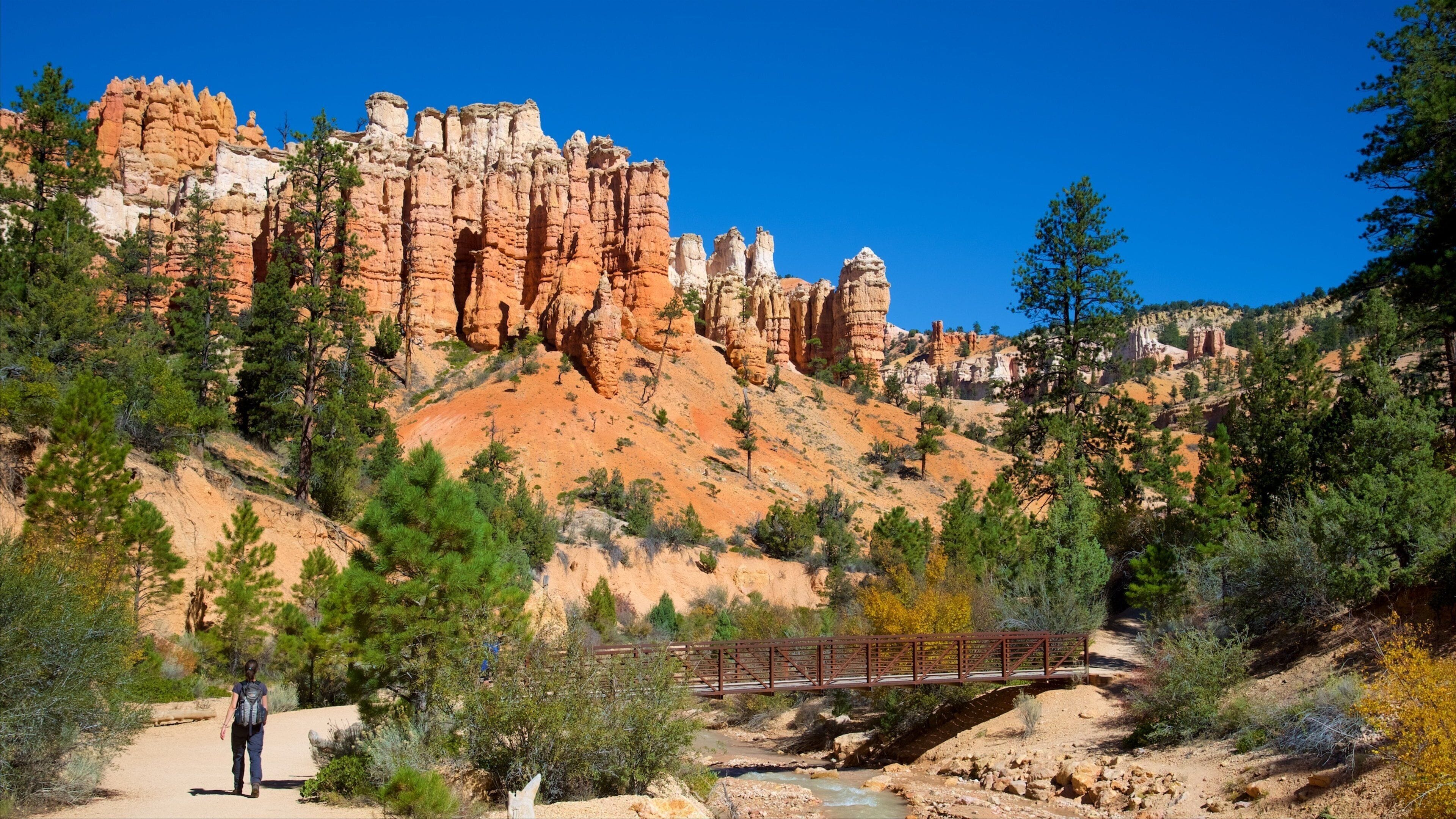 Tropic showing mountains, a bridge and landscape views