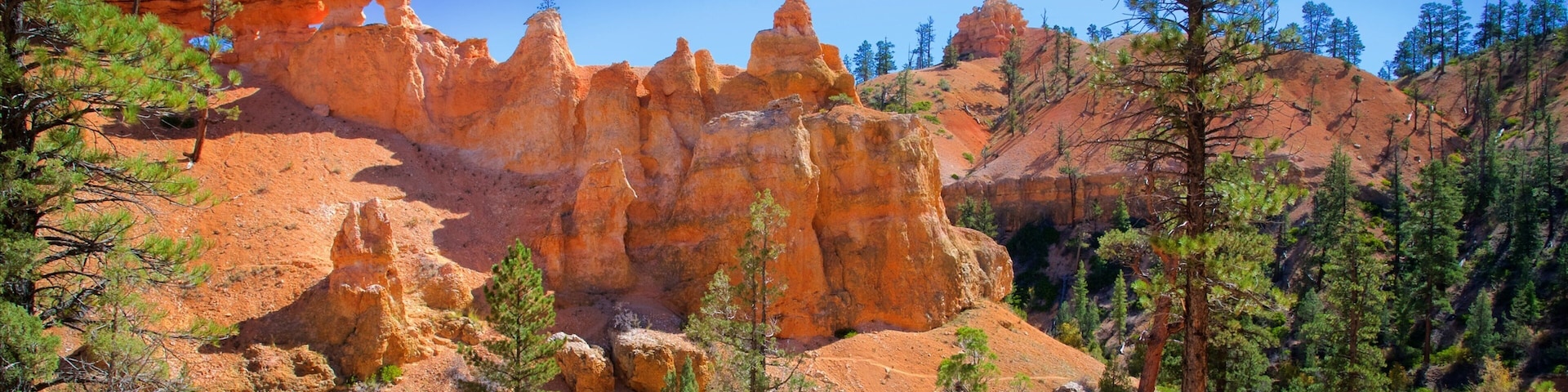 Bryce Canyon National Park which includes tranquil scenes, desert views and a gorge or canyon