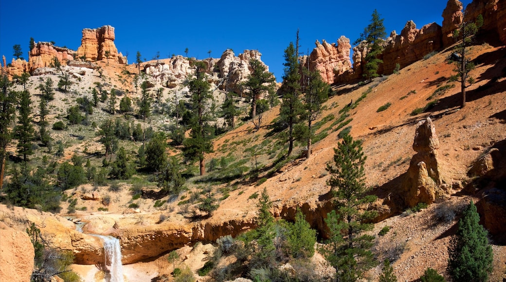 Bryce Canyon National Park which includes tranquil scenes, a cascade and a gorge or canyon