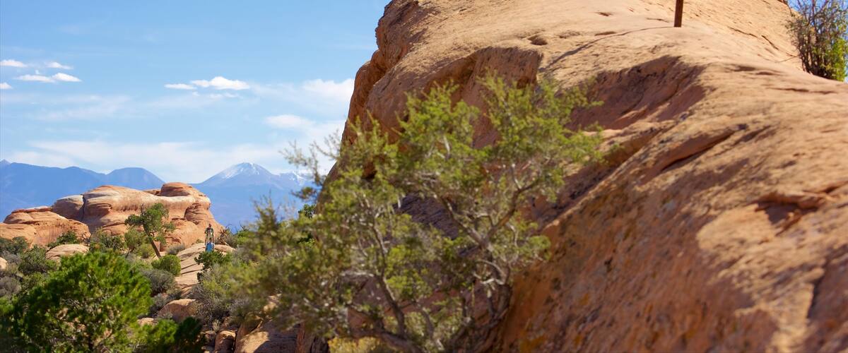 Moab which includes tranquil scenes