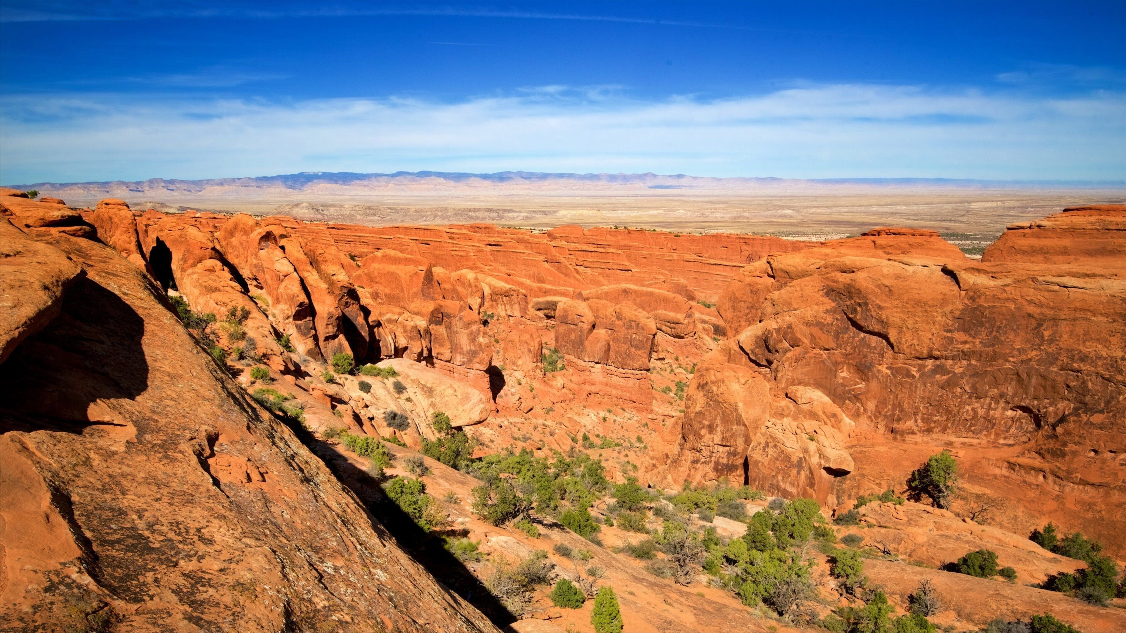 Moab showing desert views, tranquil scenes and a gorge or canyon