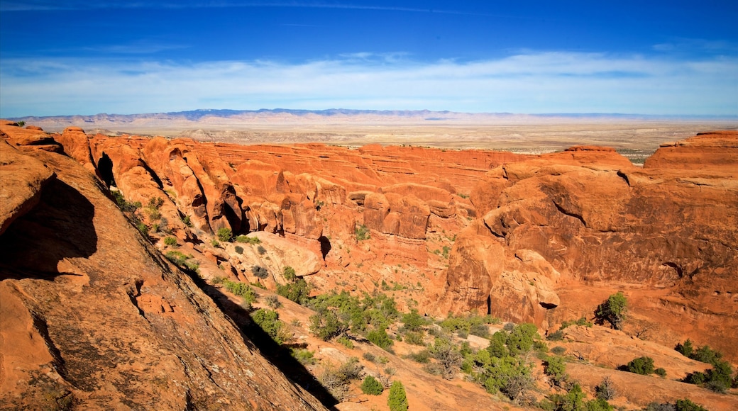 Moab showing desert views, tranquil scenes and a gorge or canyon