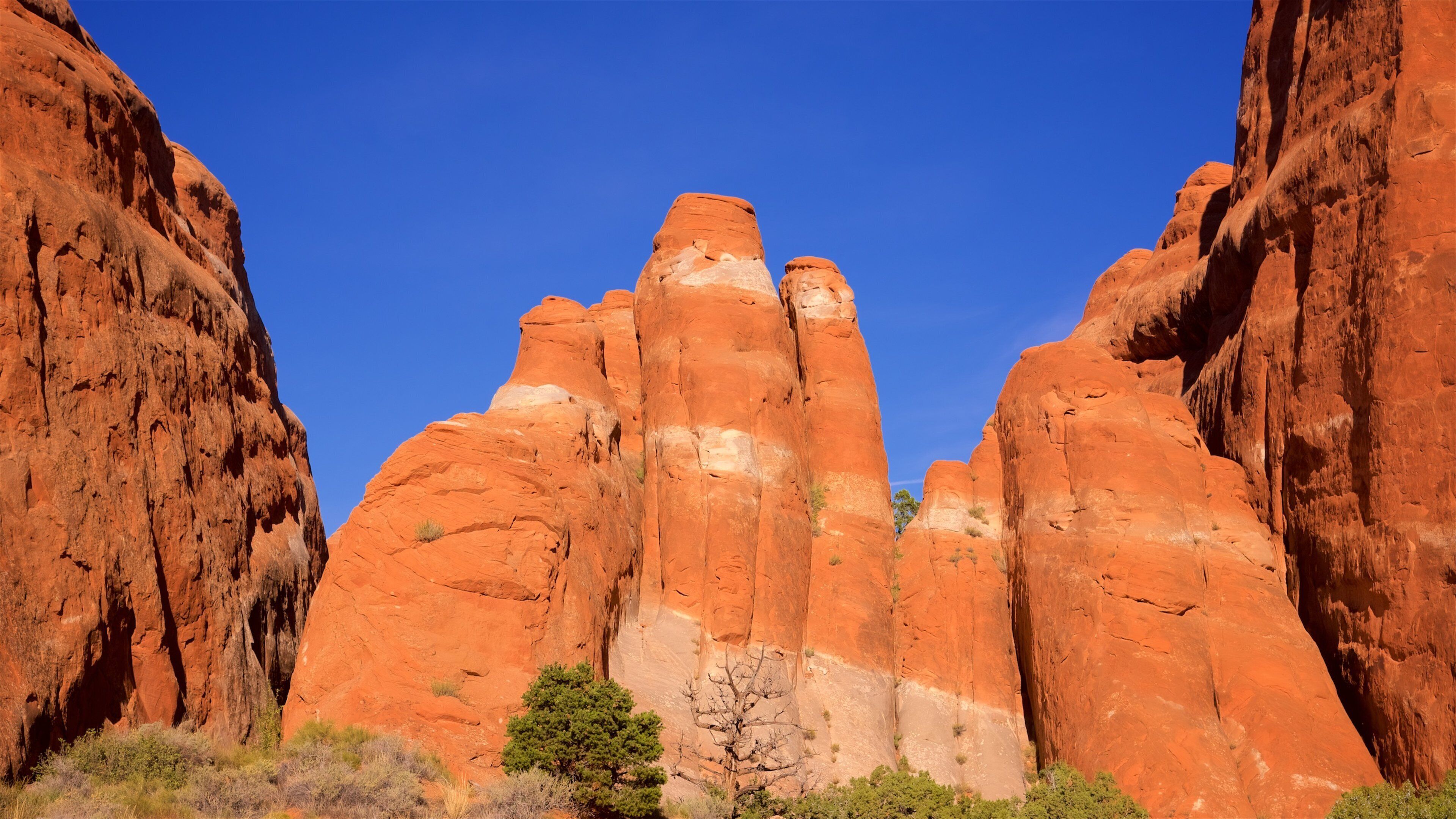 Devils Garden showing a gorge or canyon