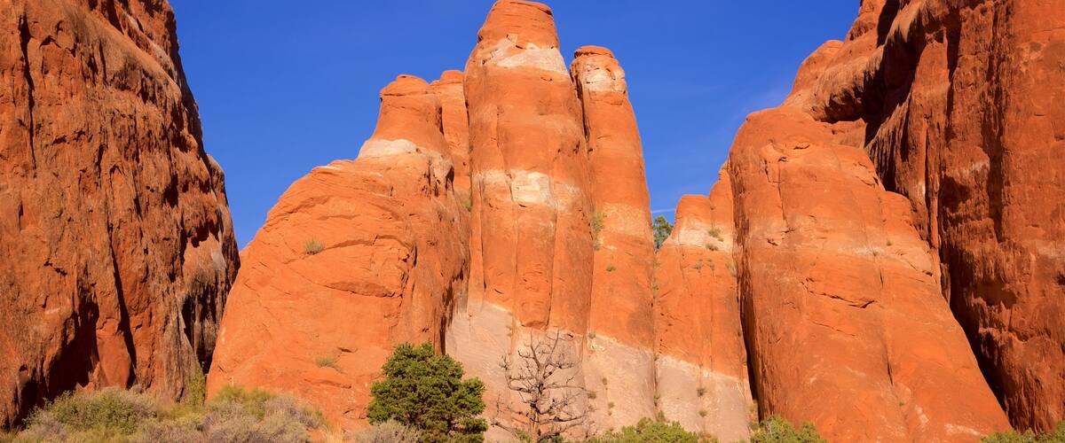 Devils Garden showing a gorge or canyon