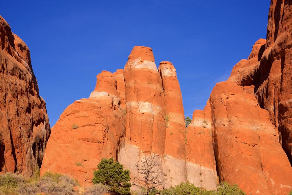 A canyon with red rock formations and a clear blue sky.
