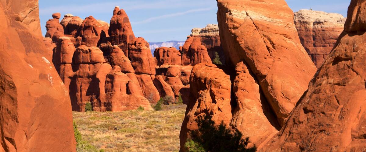 Devils Garden featuring a gorge or canyon