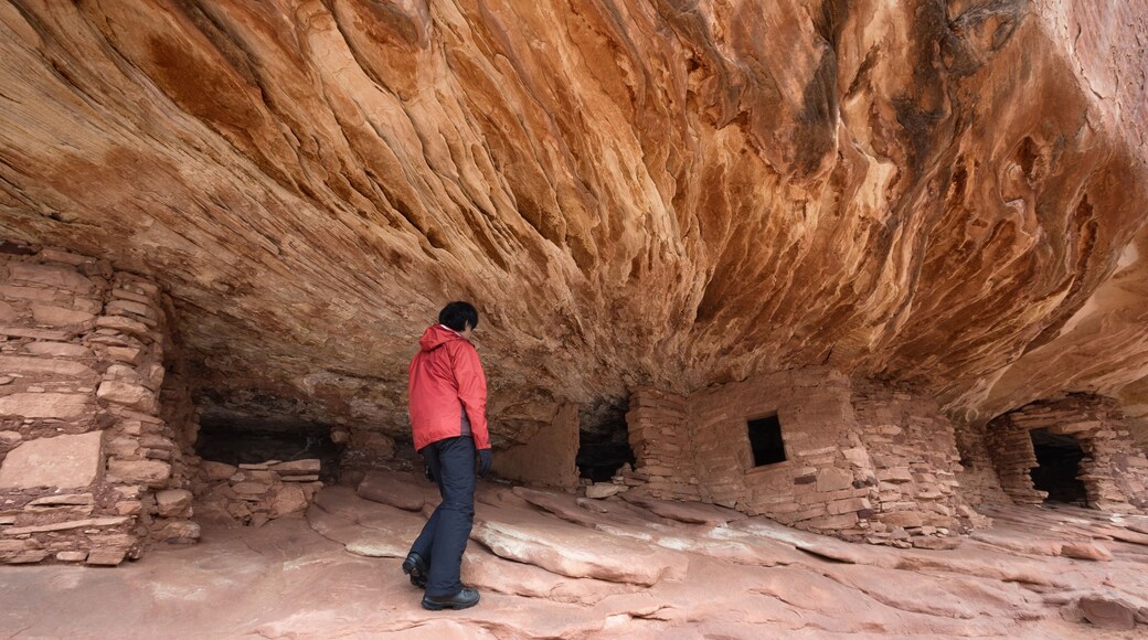 Male Hiker at House on Fire Ruin, Mule Canyon, Cedar Mesa, UT