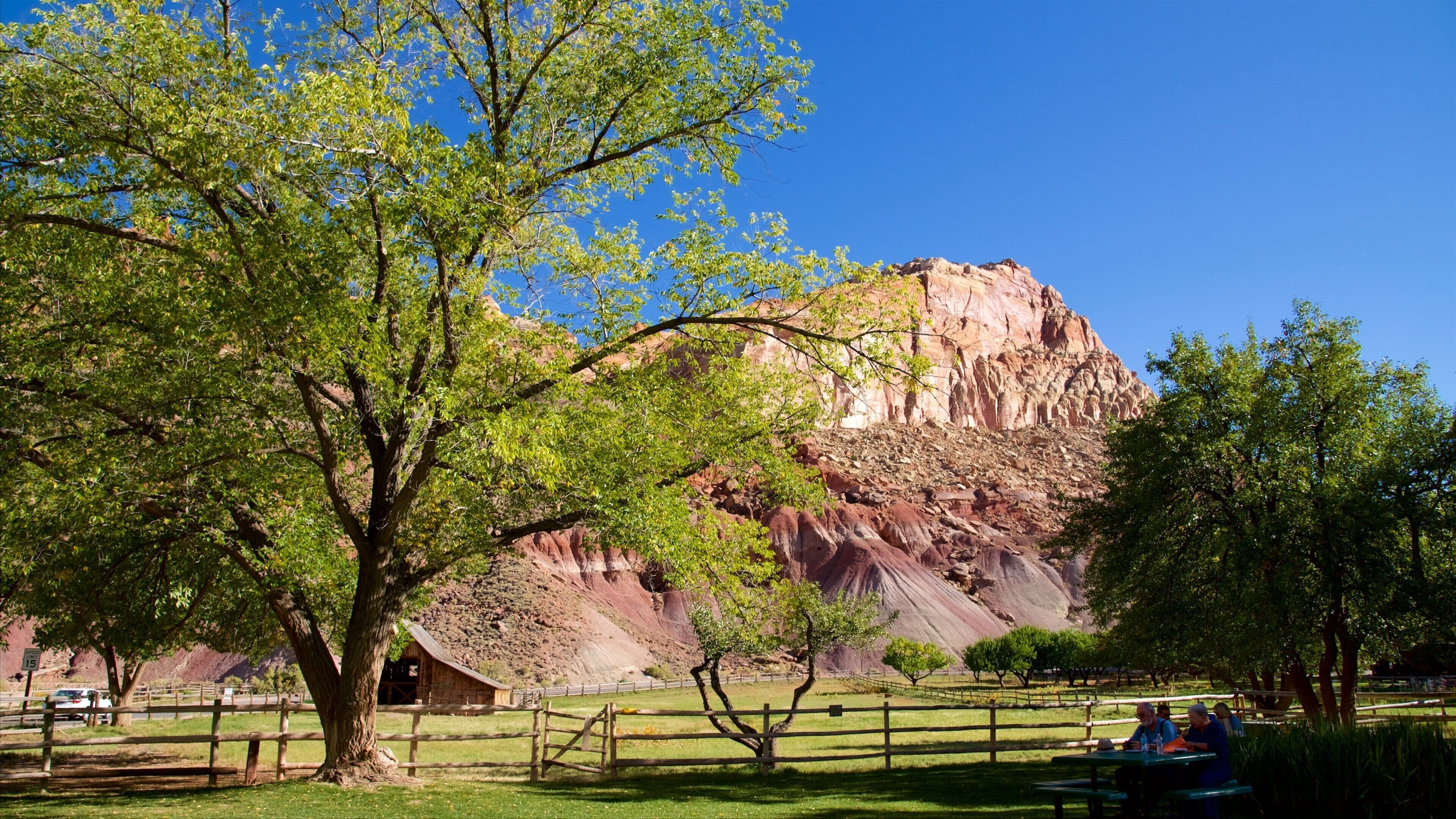 Torrey featuring maatila