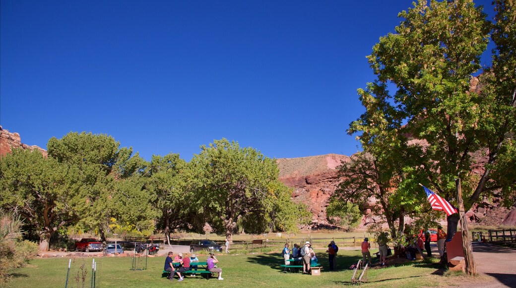 Gifford Homestead featuring a garden