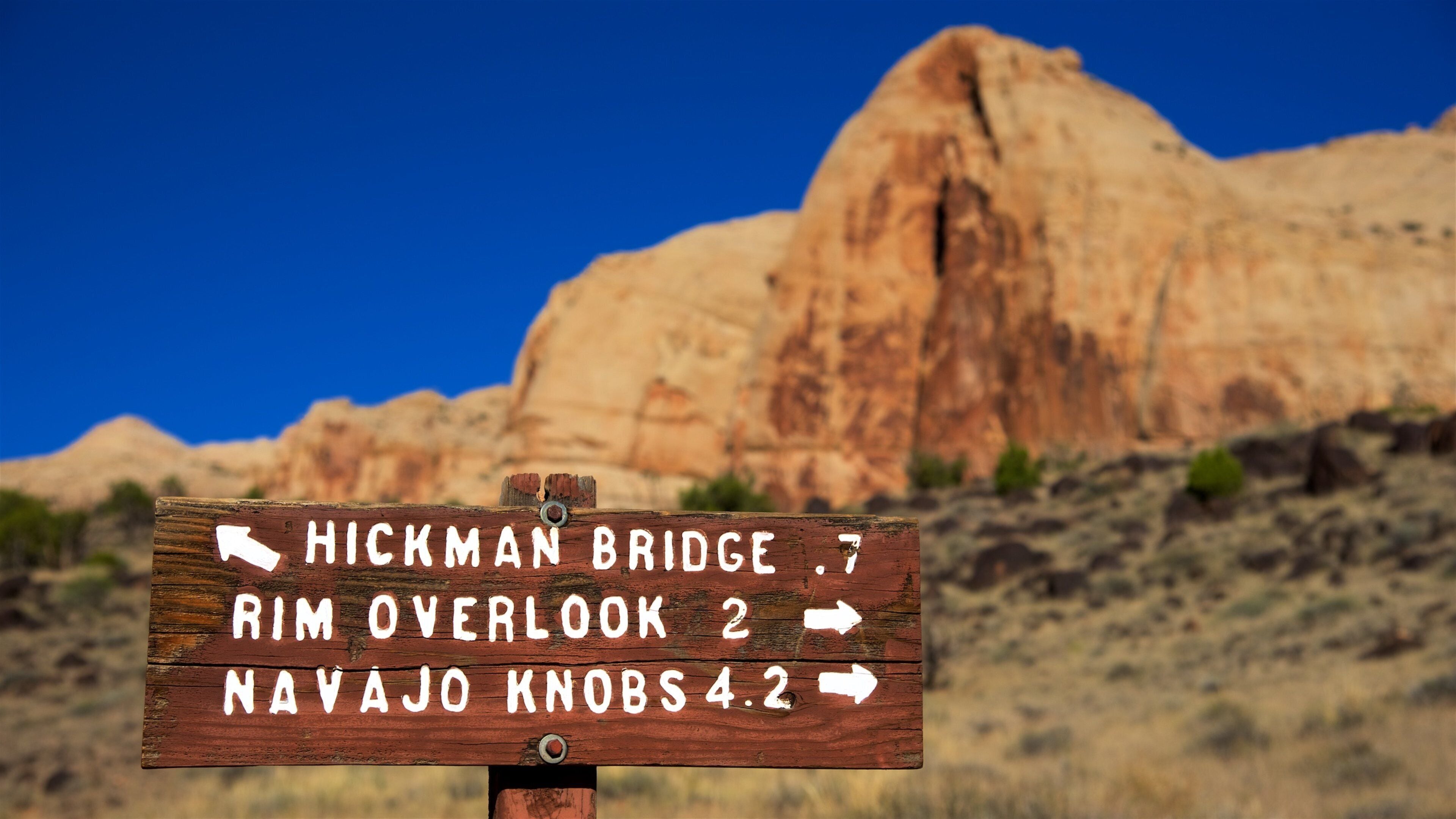 Un panneau en bois indiquant la direction vers le pont de Hickman, le point de vue de Rim et les formations rocheuses de Navajo.