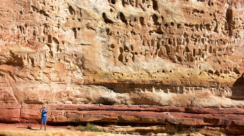 The Hickman Bridge Trail which includes desert views and tranquil scenes