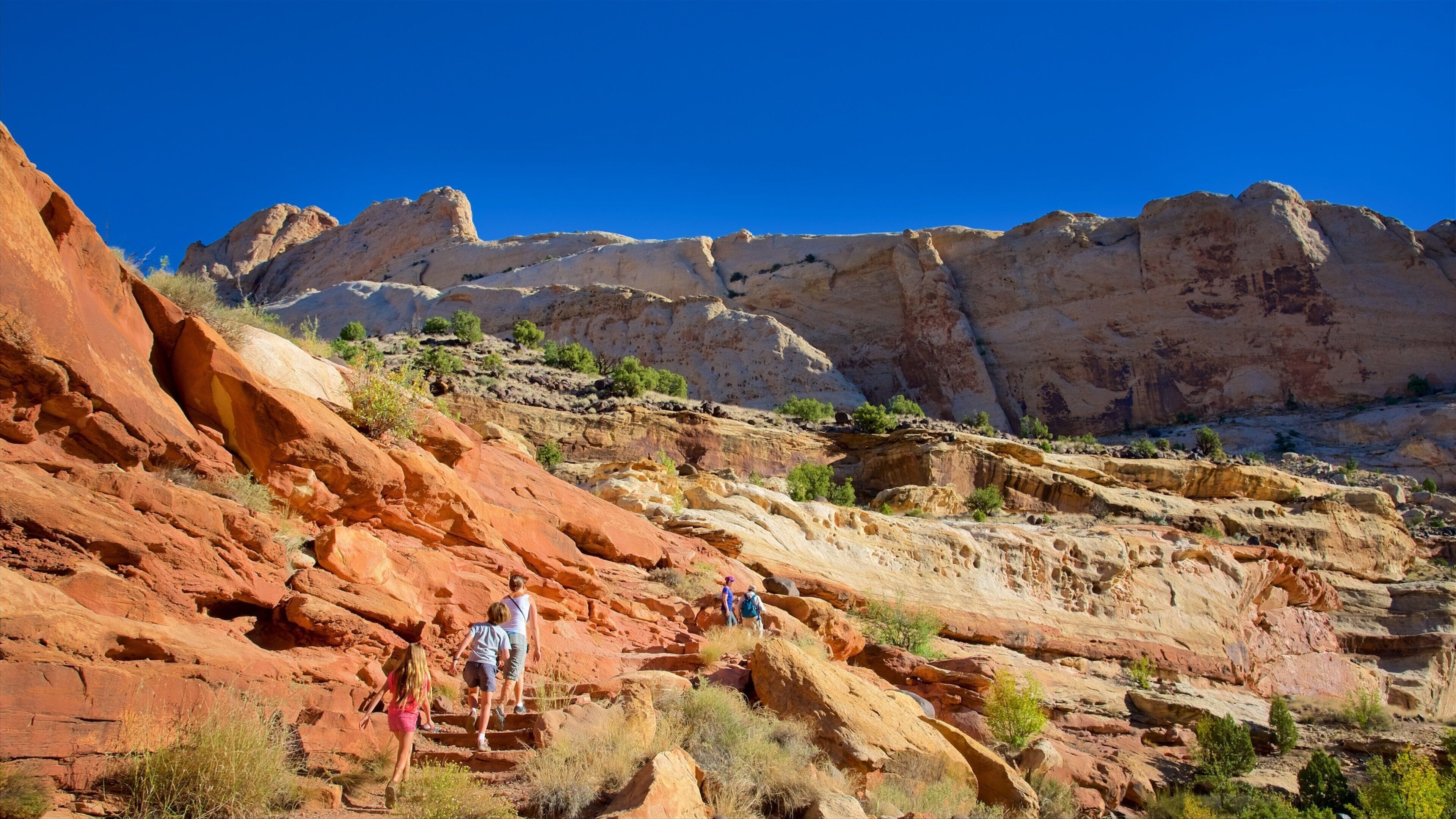 The Hickman Bridge Trail caracterizando um desfiladeiro ou canyon, paisagens do deserto e escalada ou caminhada
