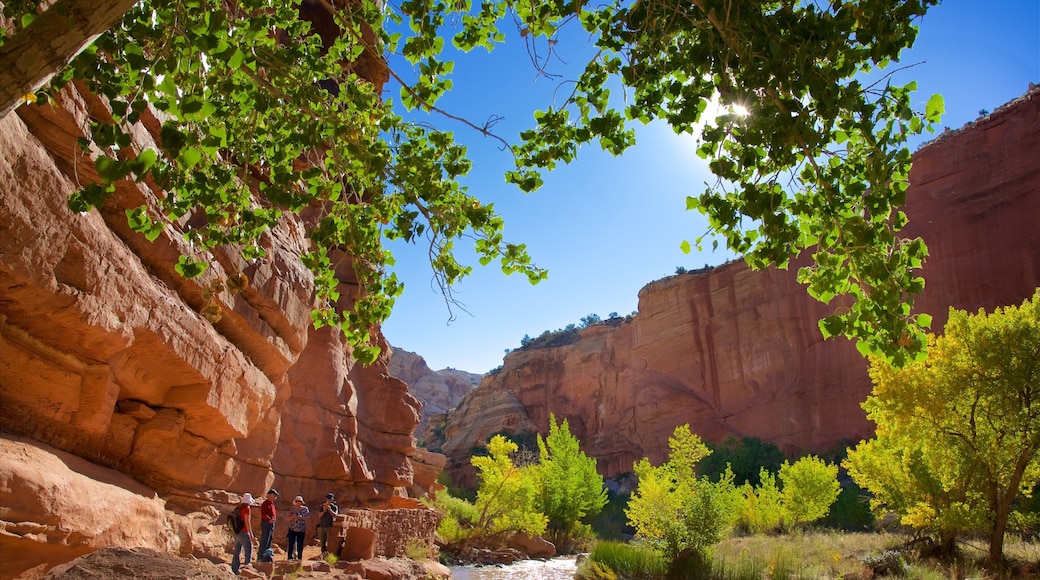 Utah Central ofreciendo escenas tranquilas, un barranco o cañón y vistas al desierto