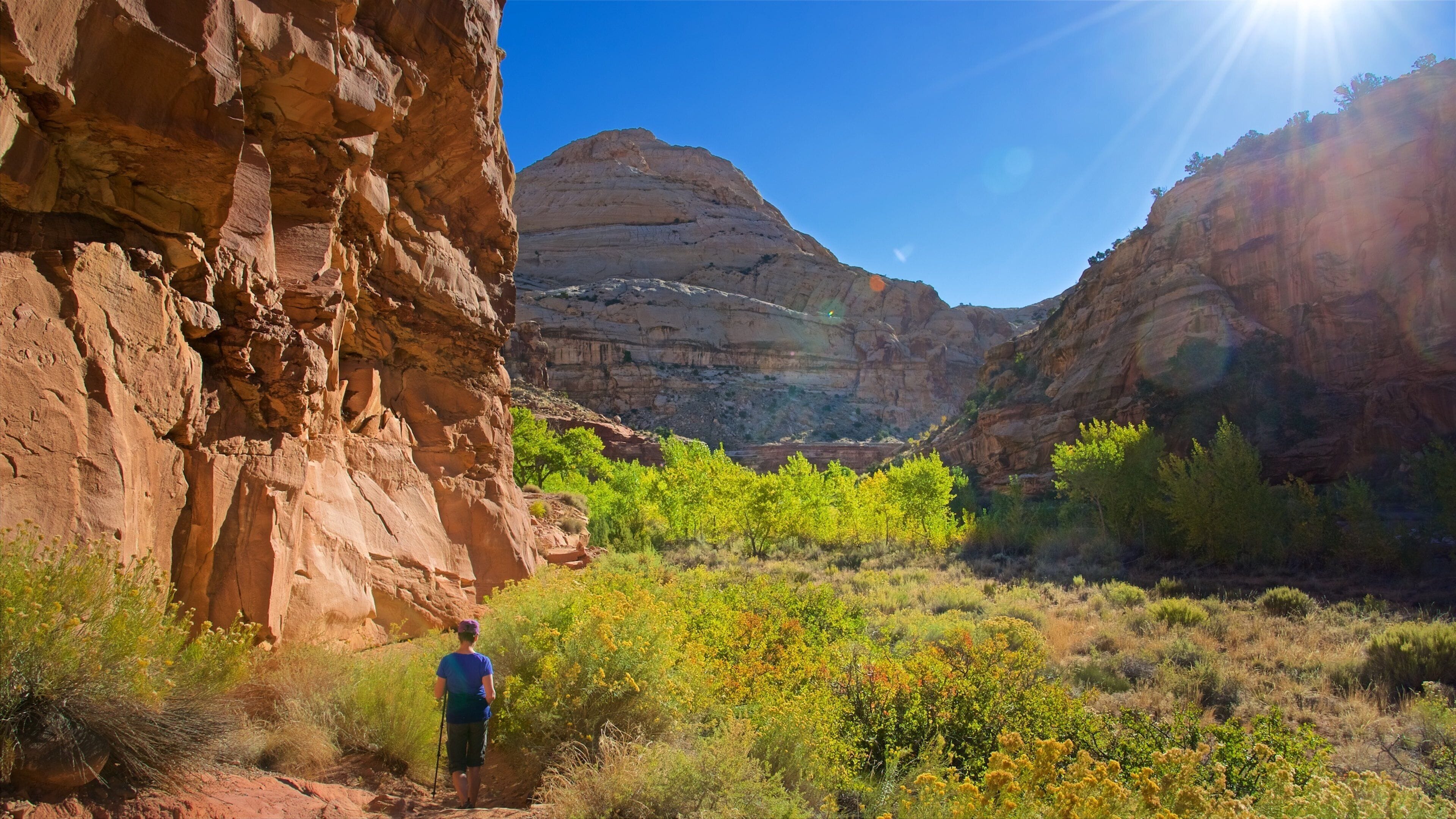 Capitol Reef nasjonalpark som inkluderer ørkenutsikt, rolig landskap og kløft eller juv