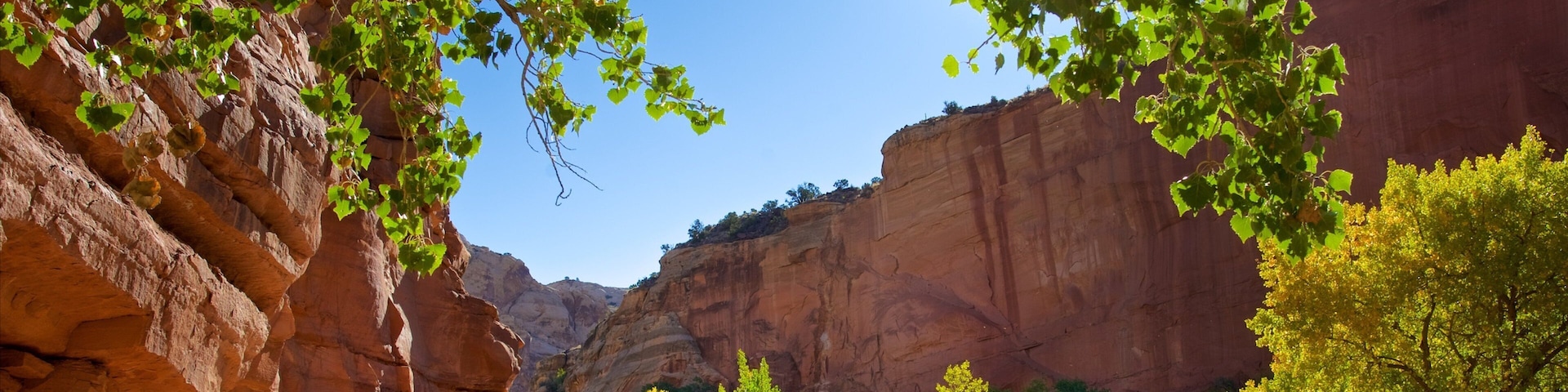 Capitol Reef National Park mostrando um desfiladeiro ou canyon, paisagens do deserto e cenas tranquilas