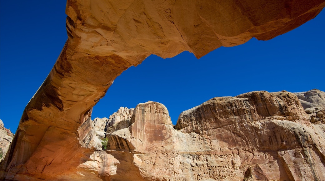 Torrey que incluye vistas al desierto y escenas tranquilas