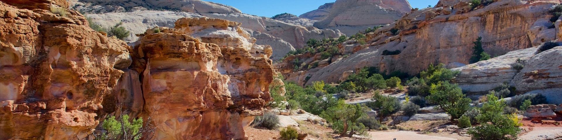 Capitol Reef National Park welches beinhaltet Schlucht oder Canyon, ruhige Szenerie und Wüstenblick