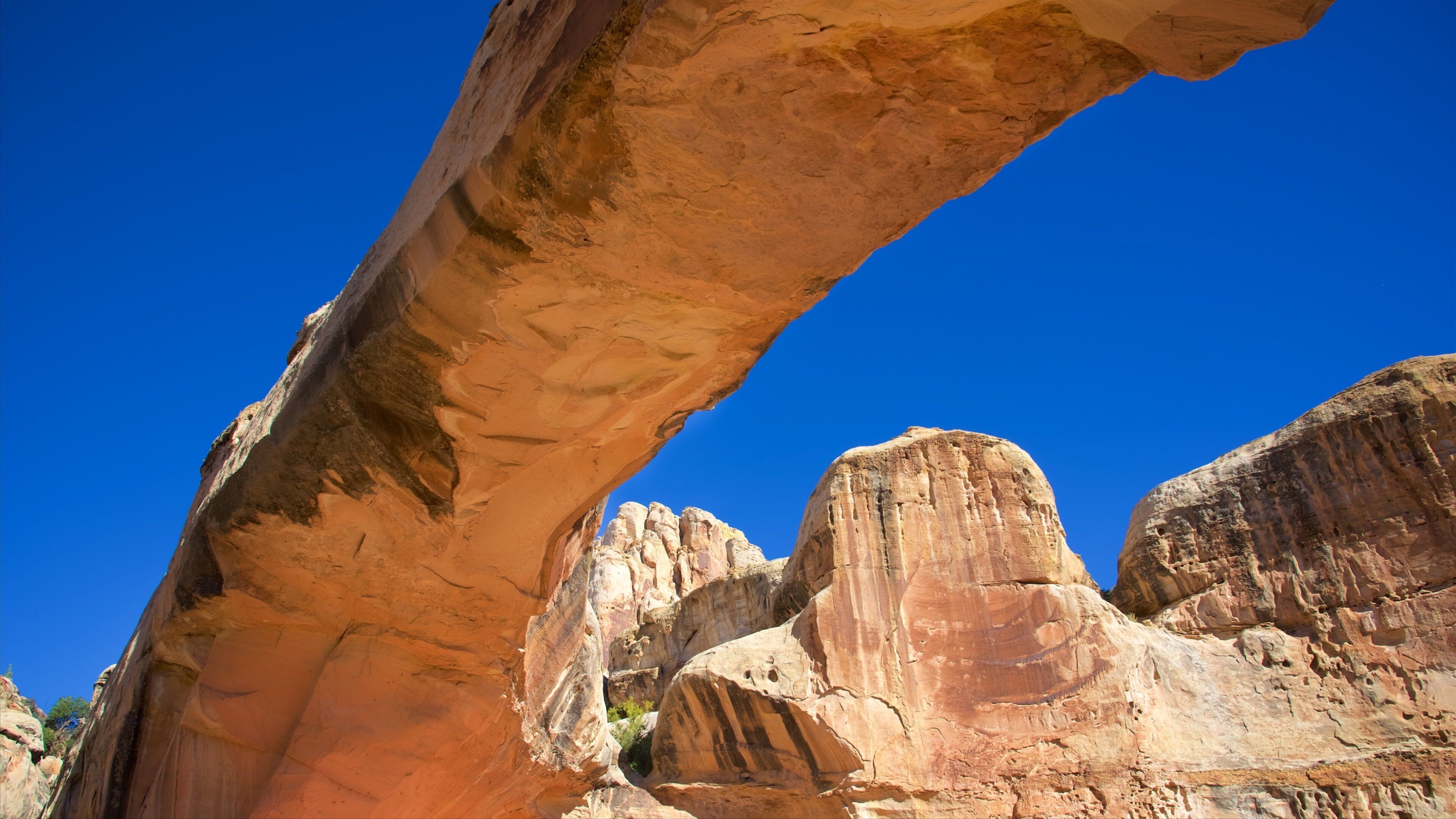 Capitol Reef National Park showing desert views, a gorge or canyon and tranquil scenes