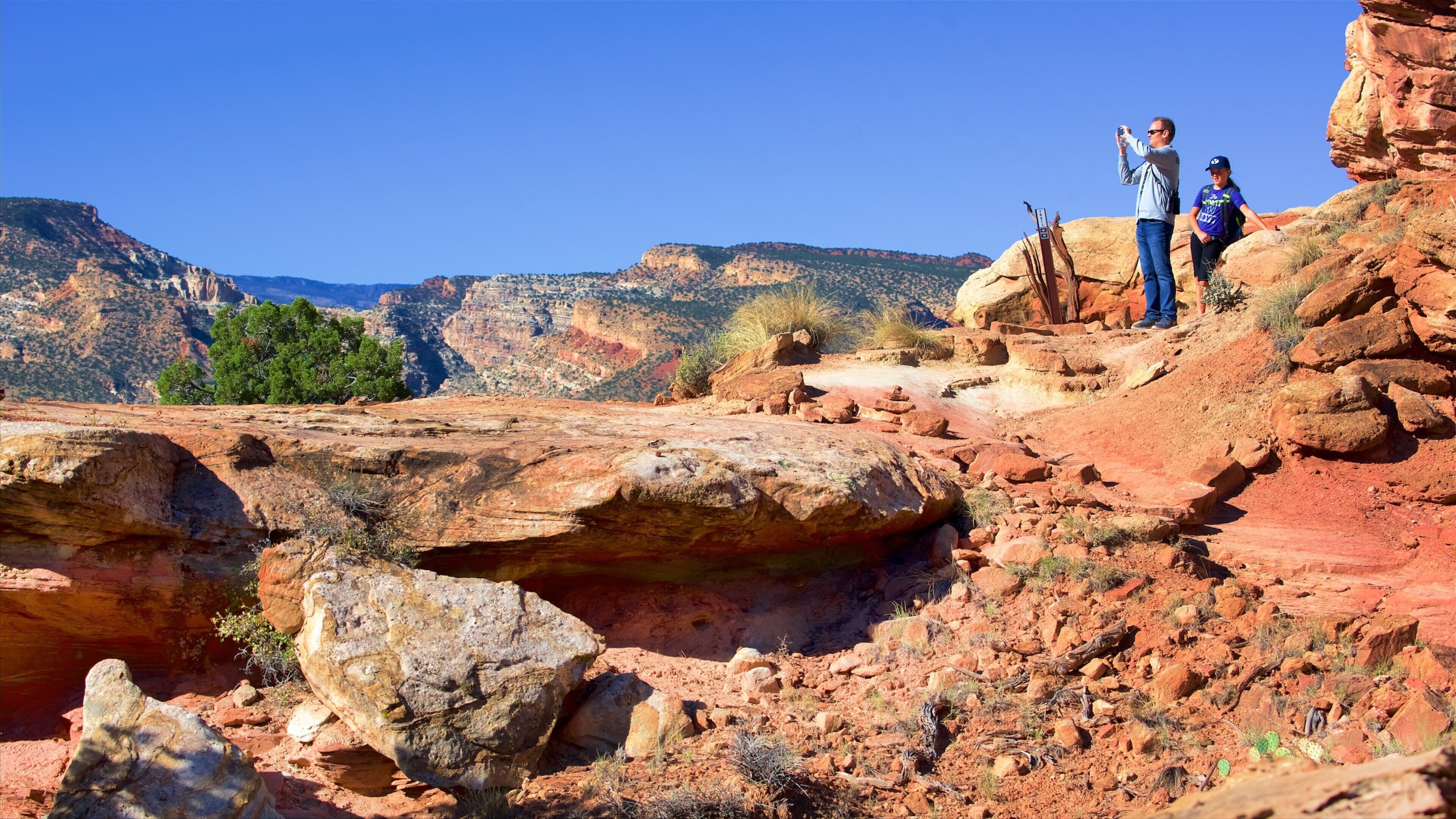 Torrey ofreciendo vistas al desierto