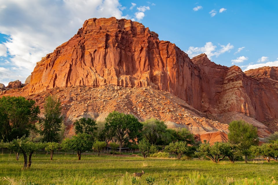 A large red rock formation with trees in the foreground.
