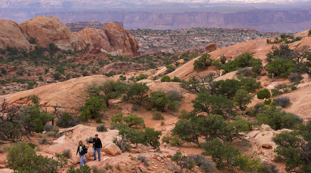 Upheaval Dome which includes a gorge or canyon, landscape views and hiking or walking
