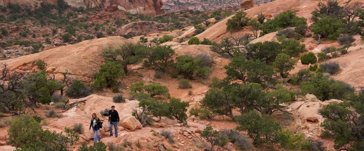 Upheaval Dome which includes a gorge or canyon, landscape views and hiking or walking