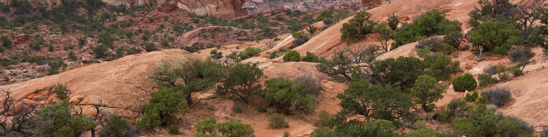 Upheaval Dome which includes a gorge or canyon, landscape views and hiking or walking