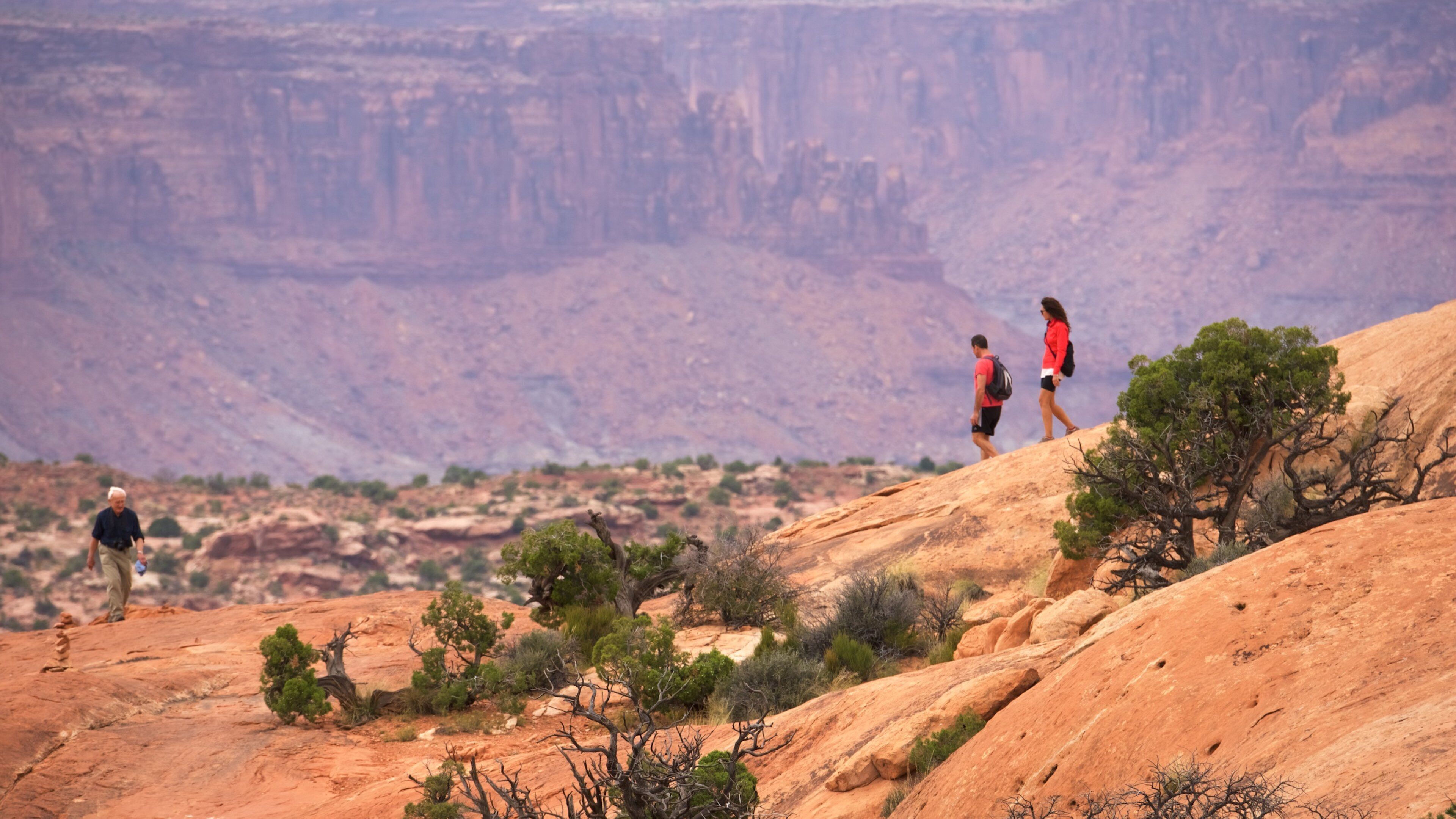 Upheaval Dome featuring a gorge or canyon, hiking or walking and landscape views