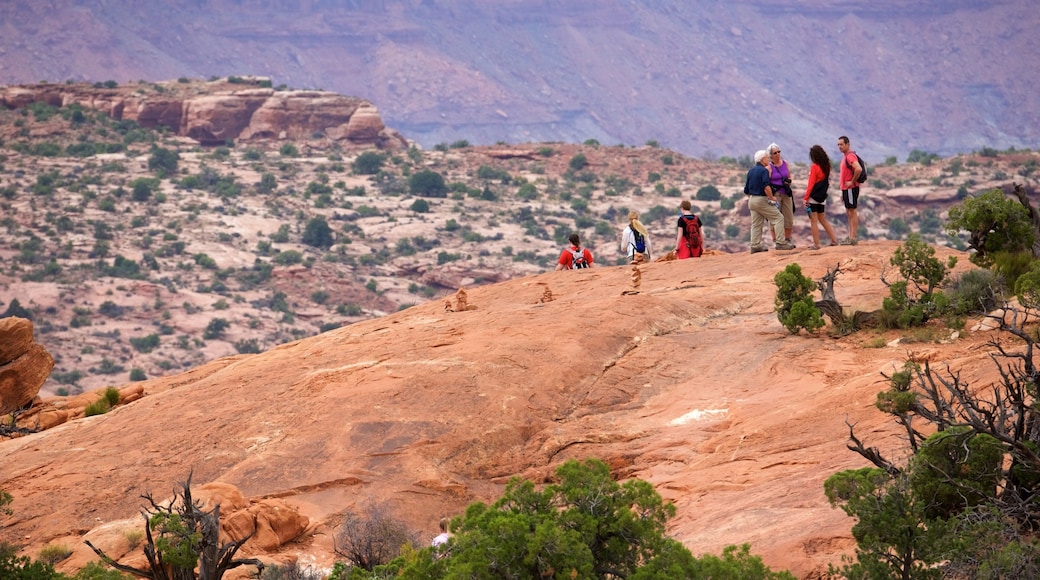 Upheaval Dome featuring landscape views, a gorge or canyon and hiking or walking