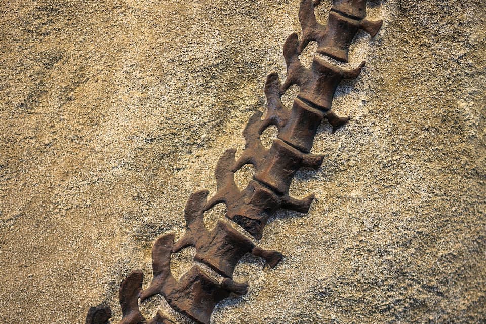 A rusty chain on a sandy surface.