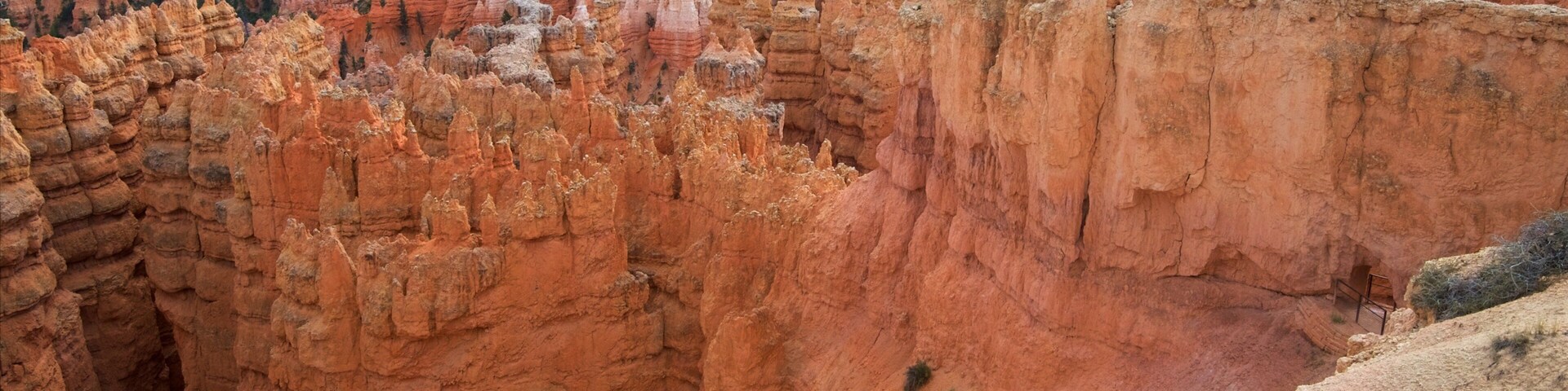 Tropic que incluye caminatas, escenas tranquilas y una garganta o cañón