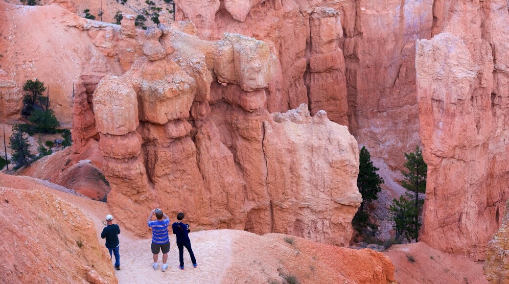 Tropic showing a gorge or canyon, hiking or walking and tranquil scenes