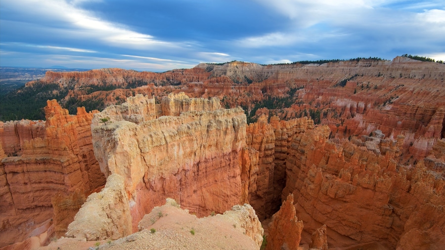 Navajo Trail which includes desert views, tranquil scenes and a gorge or canyon