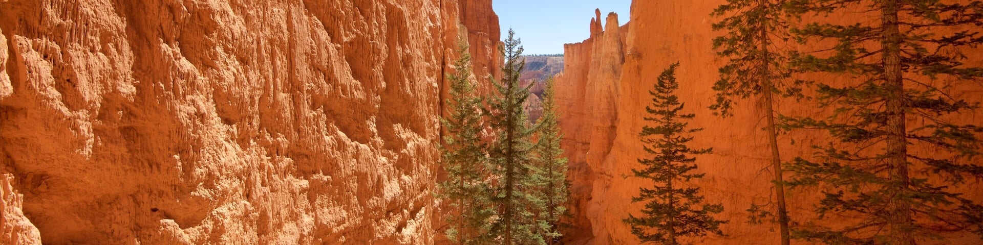 Tropic showing a gorge or canyon, tranquil scenes and hiking or walking