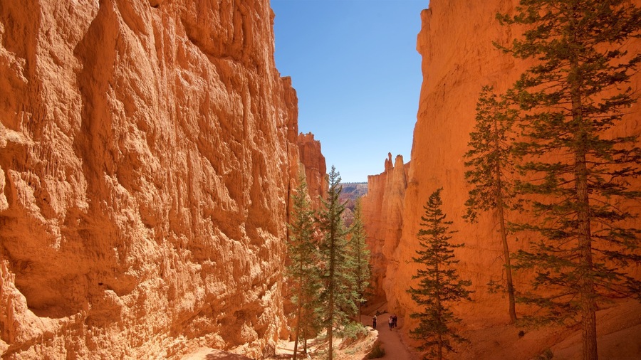 Tropic which includes a gorge or canyon, hiking or walking and mountains